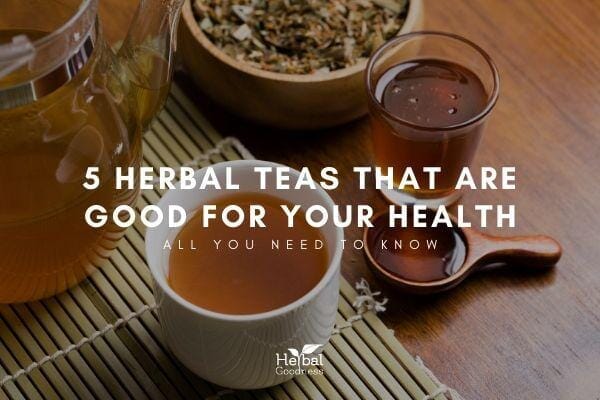 5 Herbal Teas That Are Good For Your Sleep | Herbal Goodness