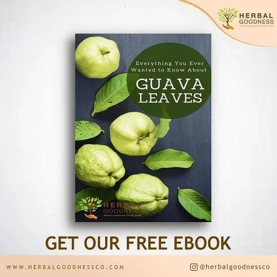 All You Need to Know About Guava Leaves eBook | Herbal Goodness