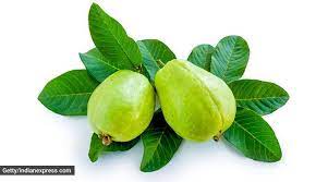 Amazing Uses Of Guava Leaves | Herbal Goodness