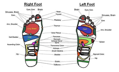 Foot Reflexology: 15 Amazing Pressure Points On Your Feet | Herbal Goodness