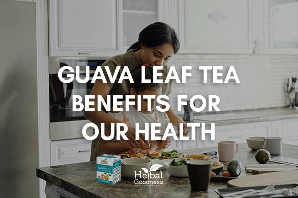 Guava Leaf Tea Benefits For Your Health |  Herbal Goodness