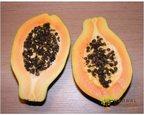 History of Carica Papaya