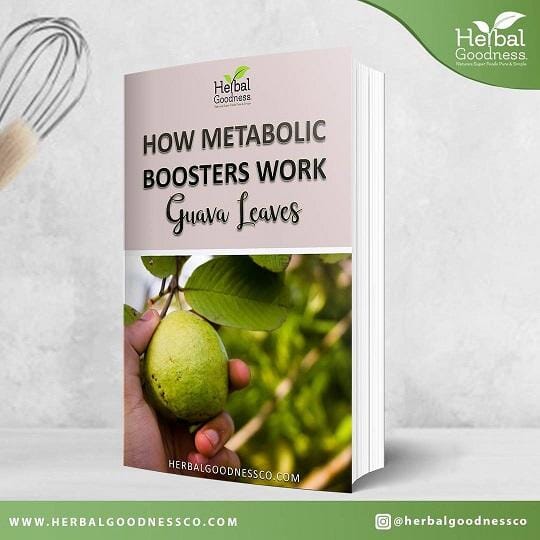 How Metabolic Boosters Work (Guava Leaves) eBook | Herbal Goodness