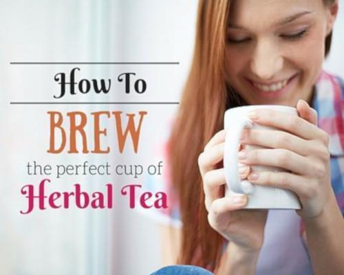 How to Brew the Perfect Cup of Herbal Tea