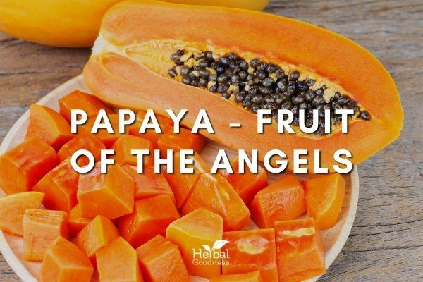 Papaya - Fruit Of The Angels | Herbal Goodness