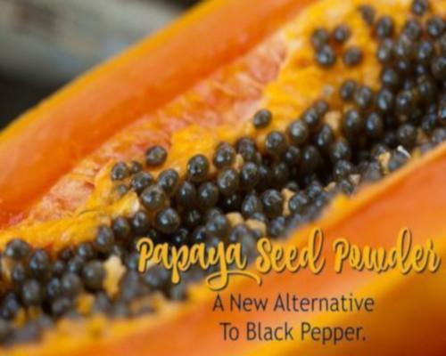 Papaya Seed Powder: A New Alternative to Black Pepper