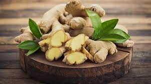 Fresh ginger root with slices and green leaves showcasing health benefits for daily routine