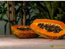 What are the edible parts of the papaya?