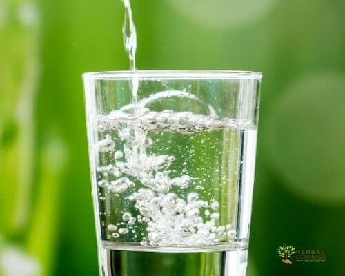 Which Water Is Best To Drink  | Herbal Goodness