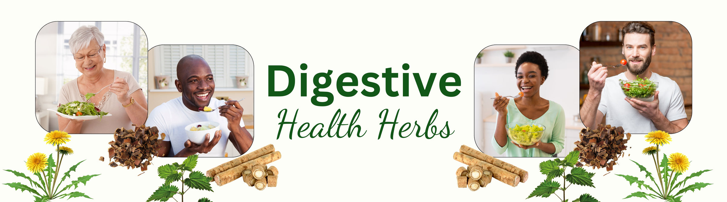 Digestive Health Herbs