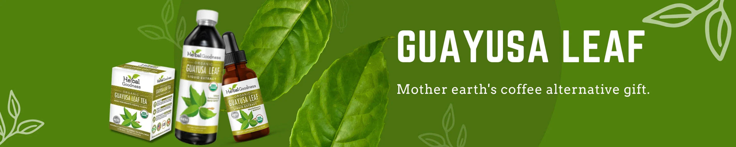 Guayusa