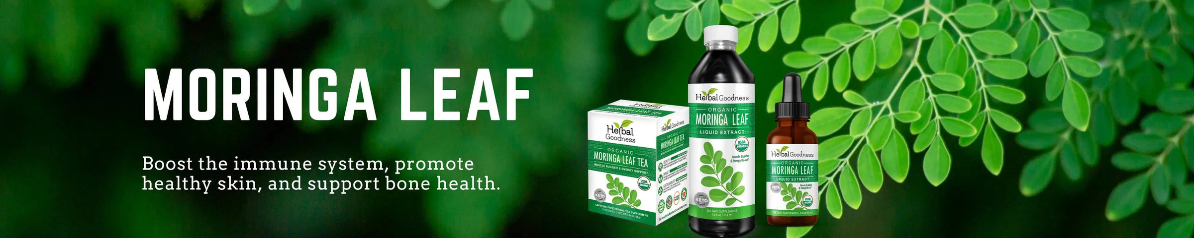 Moringa