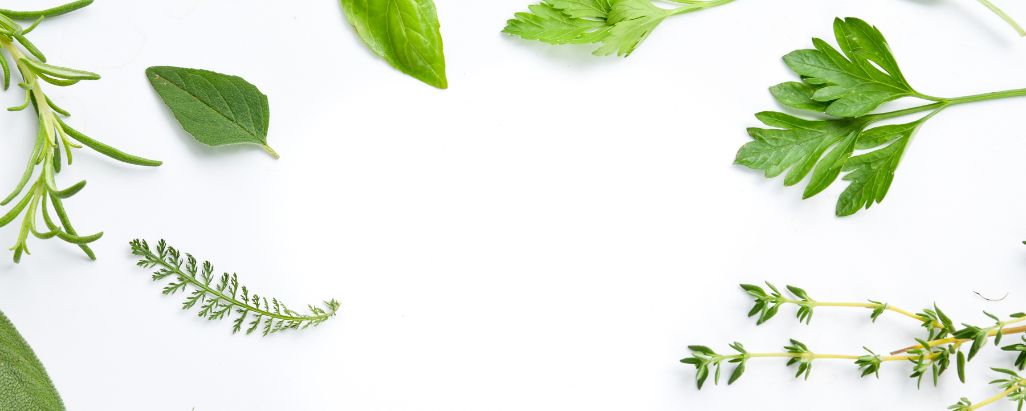 Wholesale herbal ingredients herbs image