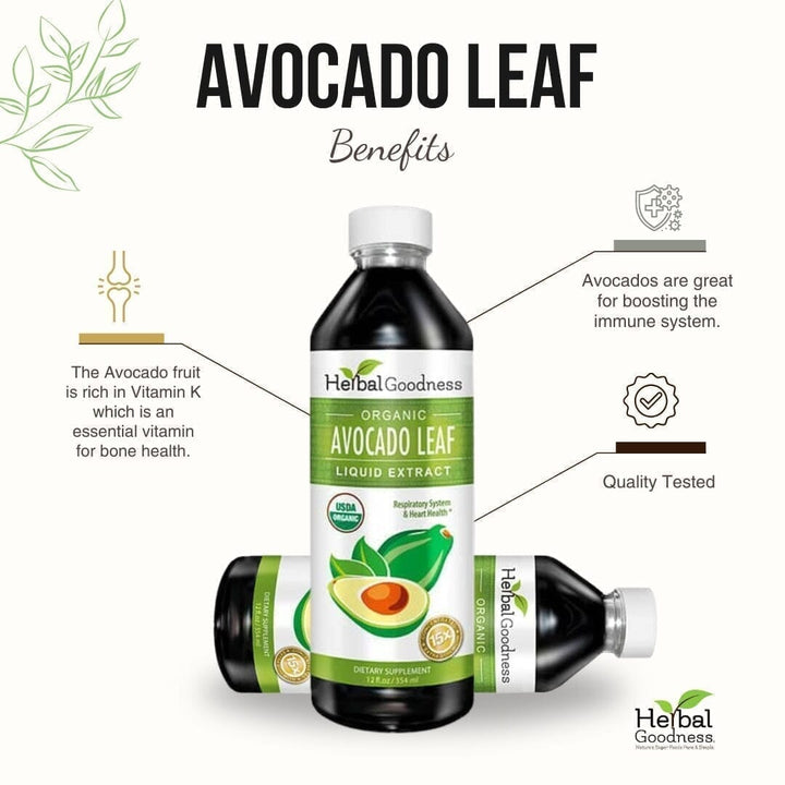 Avocado Leaf Extract - Organic - Liquid - Blood Sugar Support - Herbal Goodness Liquid Extract Herbal Goodness 