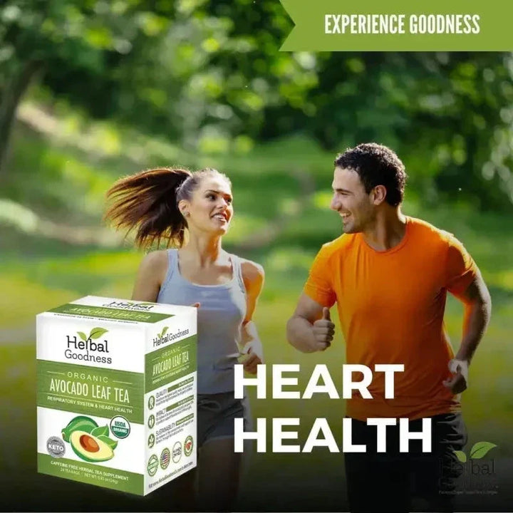 Avocado Leaf Tea - Organic 24/2g - Respiratory, Heart & Metabolism Support Tea & Infusions Herbal Goodness 