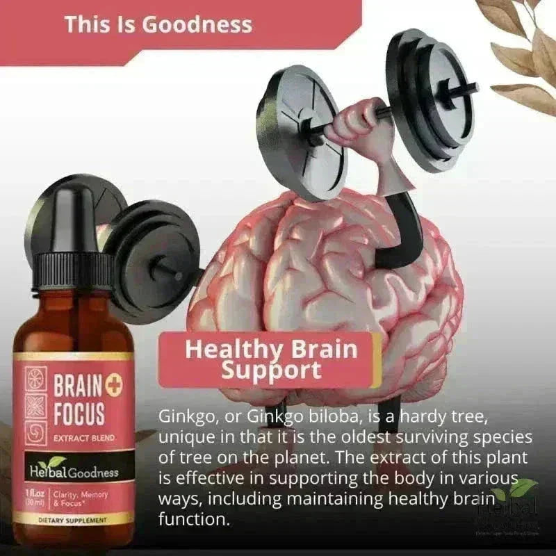 Brain and Focus Liquid Extract - Nootropic Brain Supplement Liquid Extract Herbal Goodness 