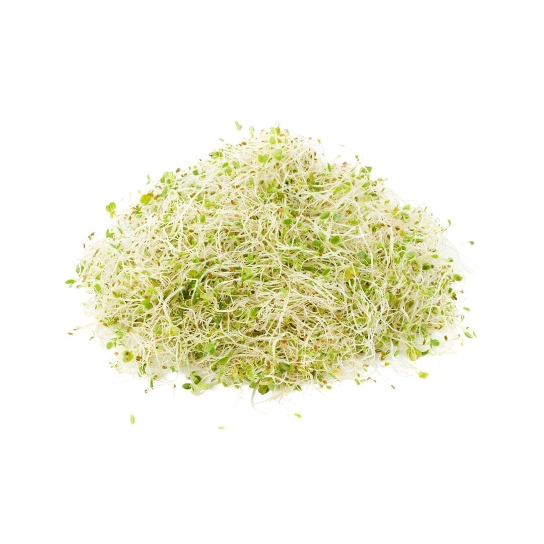 Bulk Herbs & Roots - 4oz Bulk Herb Herbal Goodness Alfalfa Leaf 