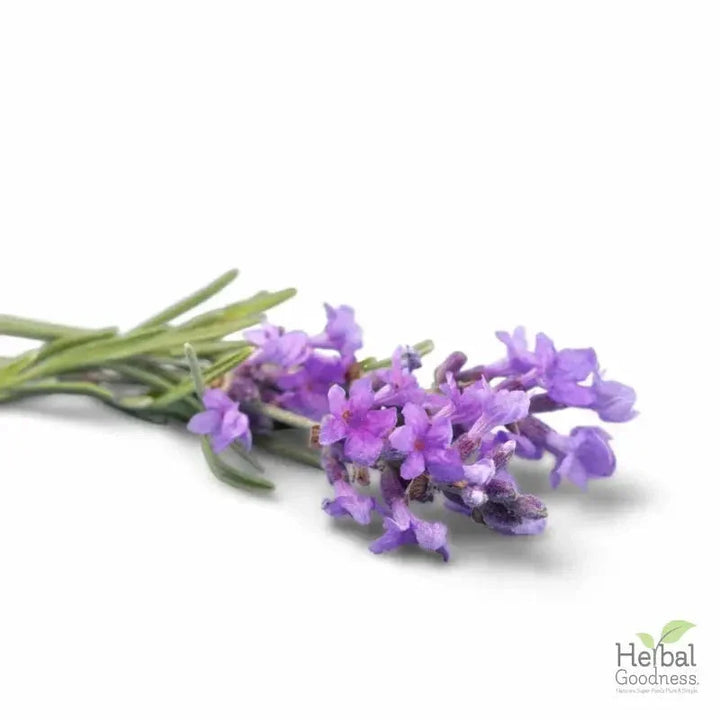 Bulk Herbs & Roots - 4oz Organic bulk teas for digestion, energy, detox Bulk Herb Herbal Goodness Lavender Flower 