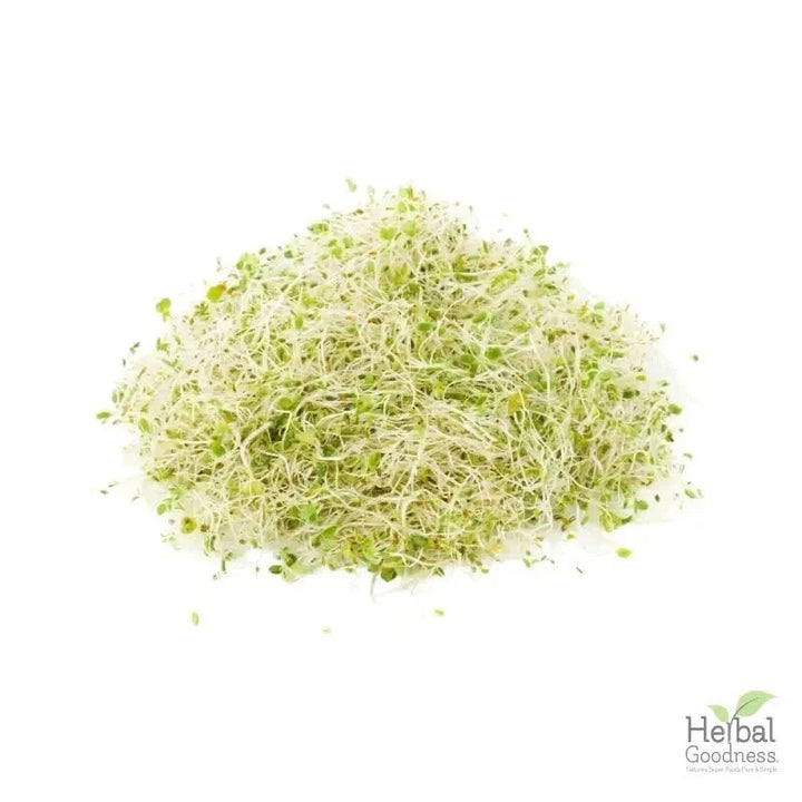 Bulk Herbs & Roots - 4oz Organic bulk teas for digestion, energy, detox Bulk Herb Herbal Goodness Alfalfa Leaf 