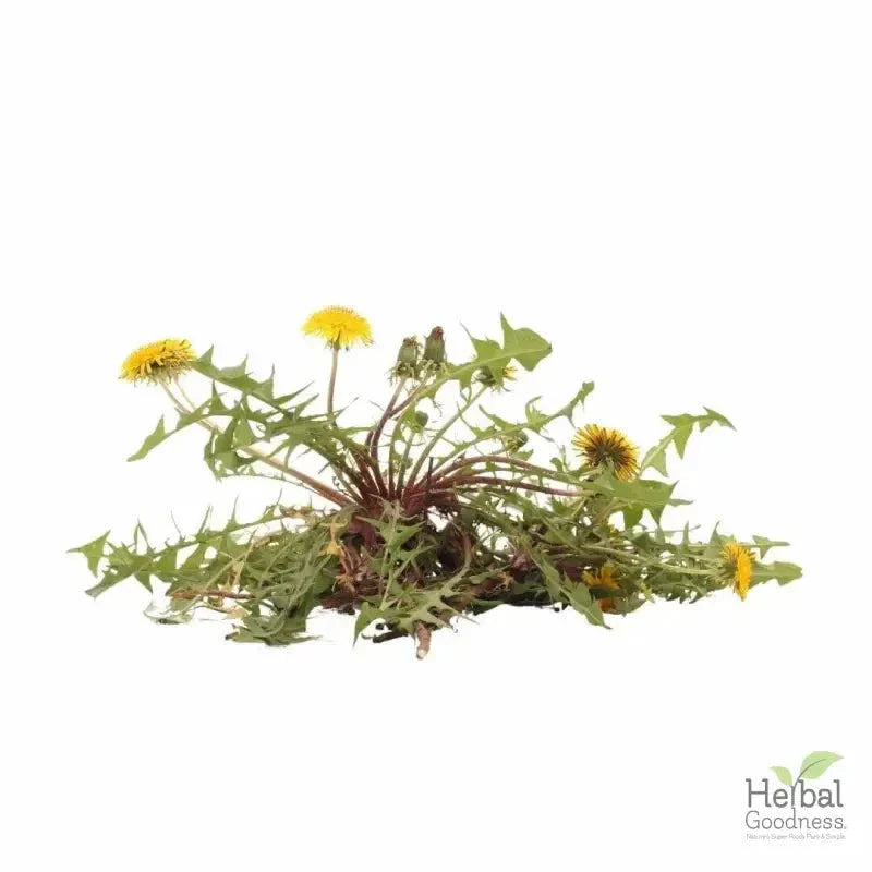Bulk Herbs & Roots - 4oz Organic bulk teas for digestion, energy, detox Bulk Herb Herbal Goodness Dandelion Root 