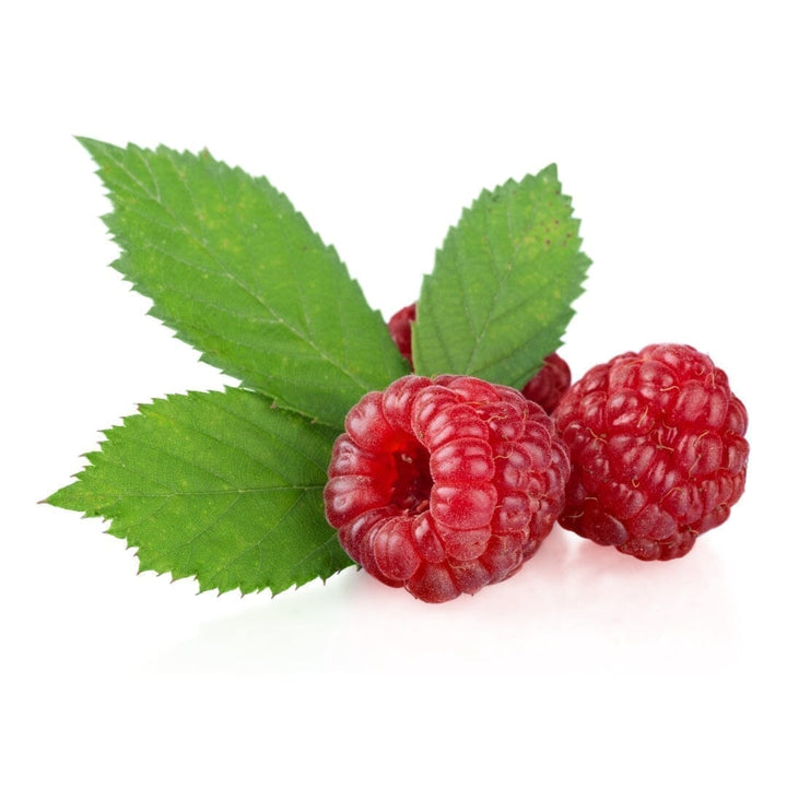 Bulk Herbs & Roots - 4oz Bulk Herb Herbal Goodness Red Raspberry Leaf 