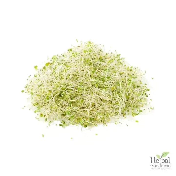 Bulk Herbs & Roots - 4oz Organic bulk teas for digestion, energy, detox Bulk Herb Herbal Goodness Alfalfa Leaf 