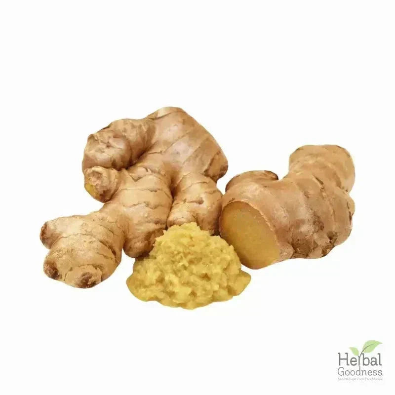 Bulk Herbs & Roots - 4oz Organic bulk teas for digestion, energy, detox Bulk Herb Herbal Goodness 