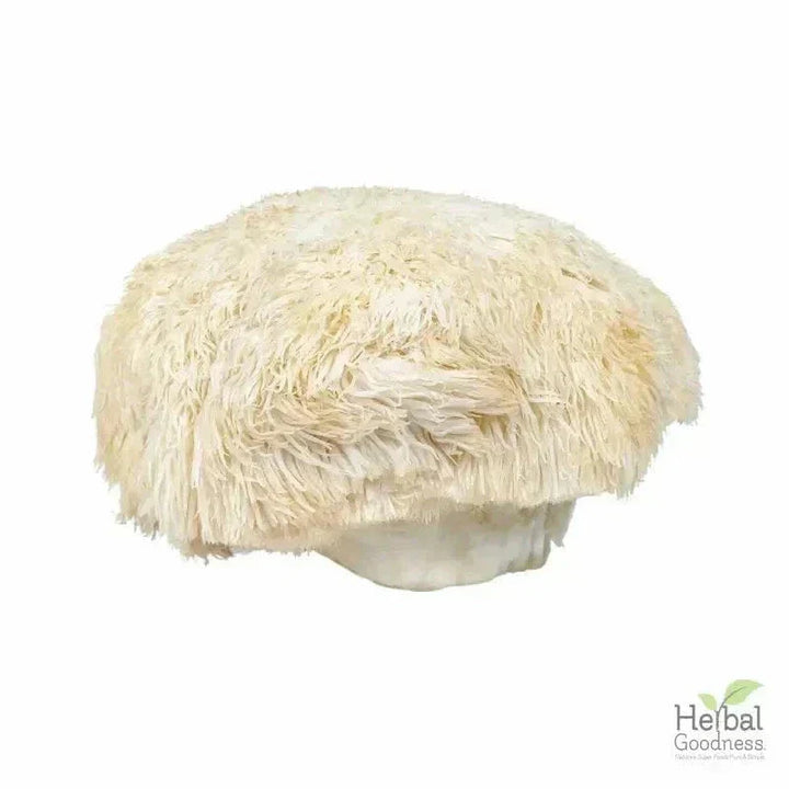 Bulk Herbs & Roots - Organic 4oz Bags - Herbal Tea Bulk Herb Herbal Goodness 