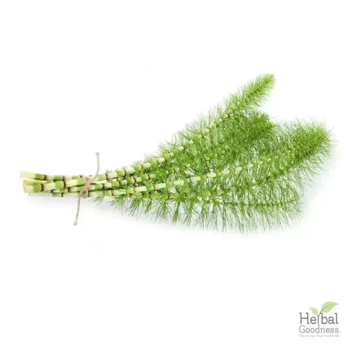 Bulk Herbs & Roots - Organic 4oz Bags - Herbal Tea Bulk Herb Herbal Goodness Horsetail Leaf 