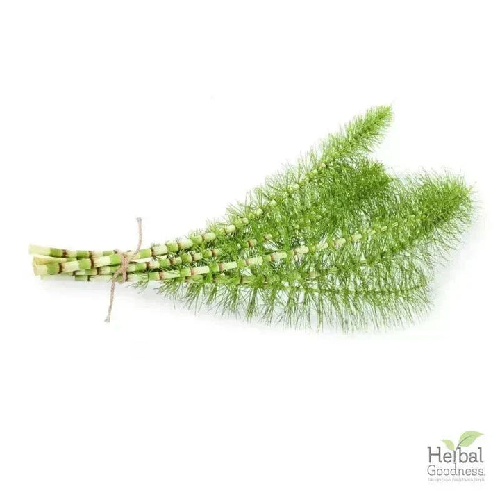 Bulk Herbs & Roots - Organic 4oz Bags - Herbal Tea Bulk Herb Herbal Goodness Horsetail Leaf 