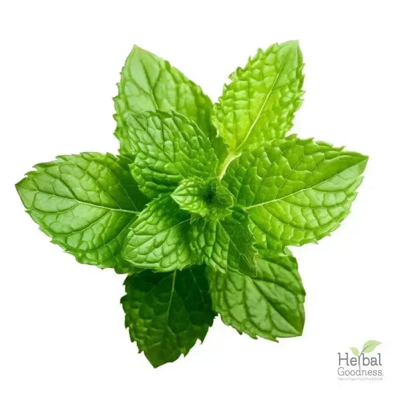 Bulk Herbs & Roots - Organic 4oz Bags - Herbal Tea Bulk Herb Herbal Goodness Mint Leaf 