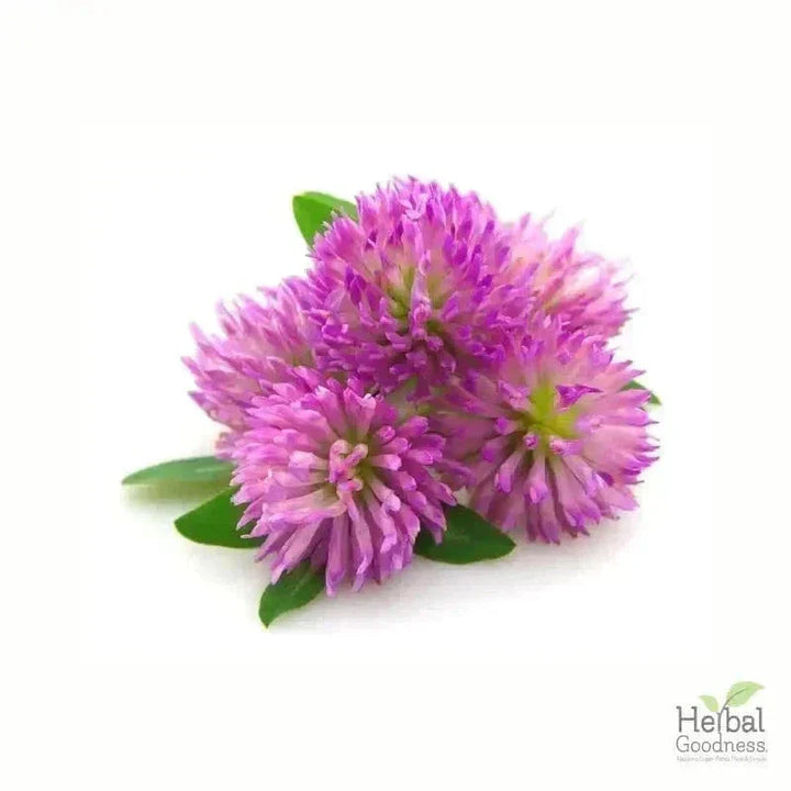 Bulk Herbs & Roots - Organic 4oz Bags - Herbal Tea Bulk Herb Herbal Goodness Red Clover 