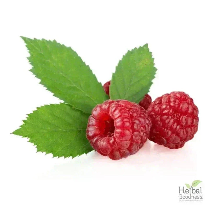 Bulk Herbs & Roots - Organic 4oz Bags - Herbal Tea Bulk Herb Herbal Goodness Red Raspberry Leaf 