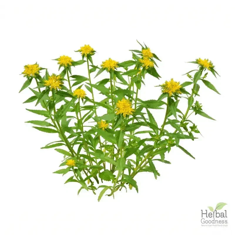 Bulk Herbs & Roots - 4oz Organic bulk teas for digestion, energy, detox Bulk Herb Herbal Goodness 