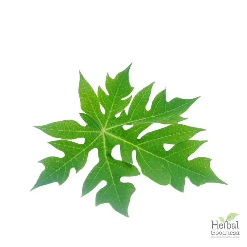 Bulk Herbs & Roots - 4oz Organic bulk teas for digestion, energy, detox Bulk Herb Herbal Goodness Papaya Leaf 