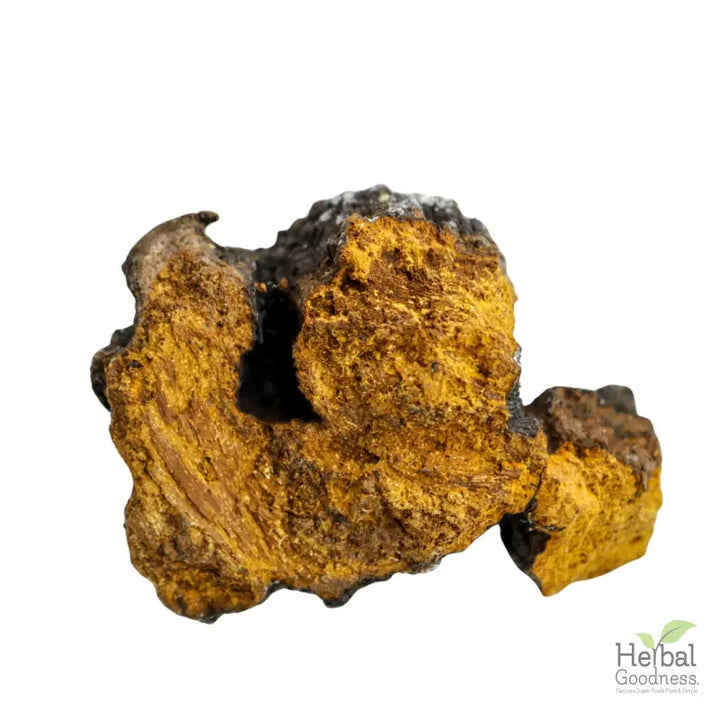 Rough golden-yellow mineral resembling Lion’s Mane in Bulk Mushroom Powders product