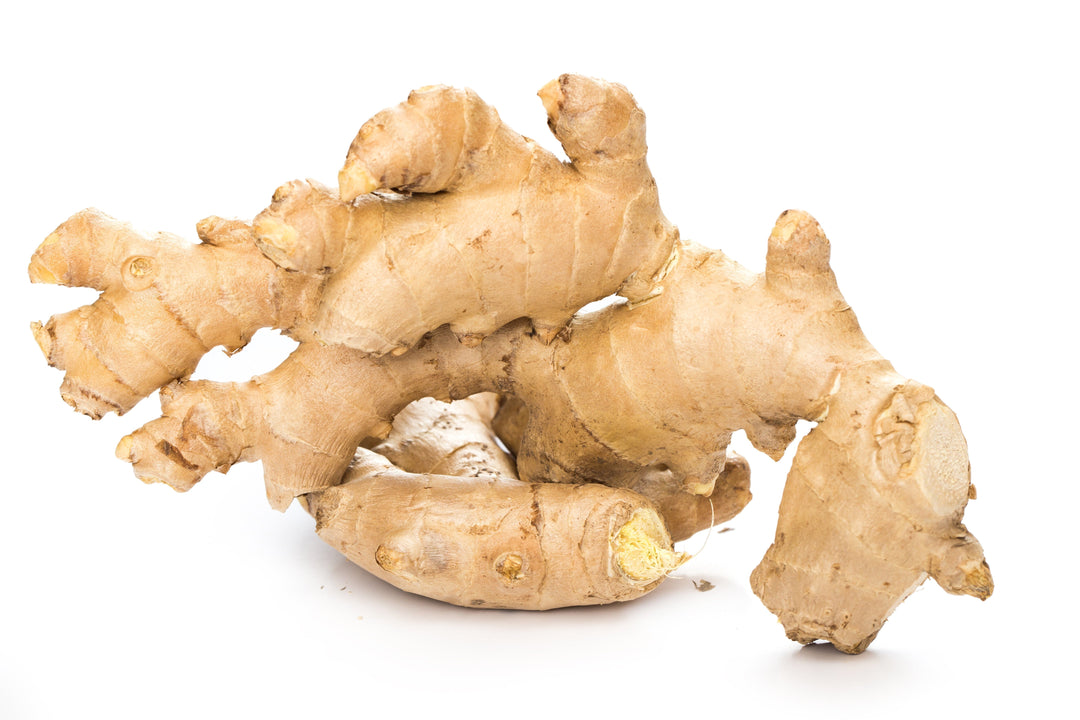 Bulk Spices & Seasonings - 8oz - Fresh and Vibrant - Herbal Goodness Bulk Herb Herbal Goodness Ginger Root 