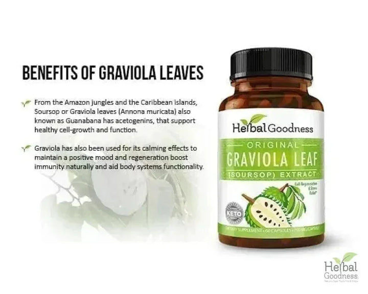 Graviola Soursop Leaf Extract Capsules – 10X Strength, 60/600mg, Vegan-Friendly, Unit or 12-Count Case Capsules Herbal Goodness 