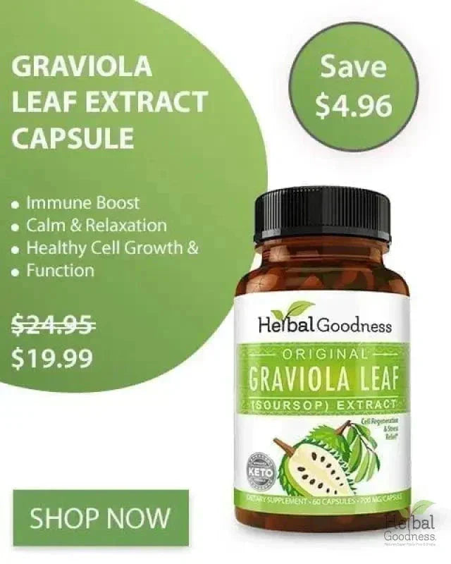 Graviola Soursop Leaf Extract Capsules – 10X Strength, 60/600mg, Vegan-Friendly, Unit or 12-Count Case Capsules Herbal Goodness 