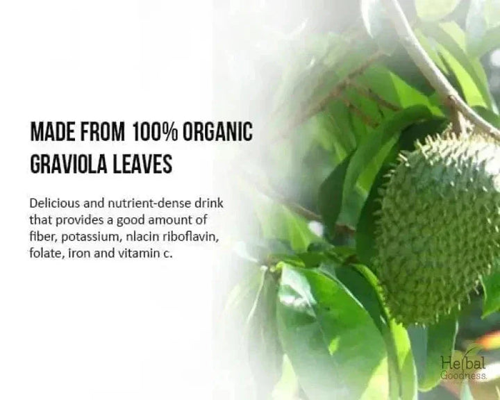 Graviola Soursop Leaf Extract Capsules – 10X Strength, 60/600mg, Vegan-Friendly, Unit or 12-Count Case Capsules Herbal Goodness 