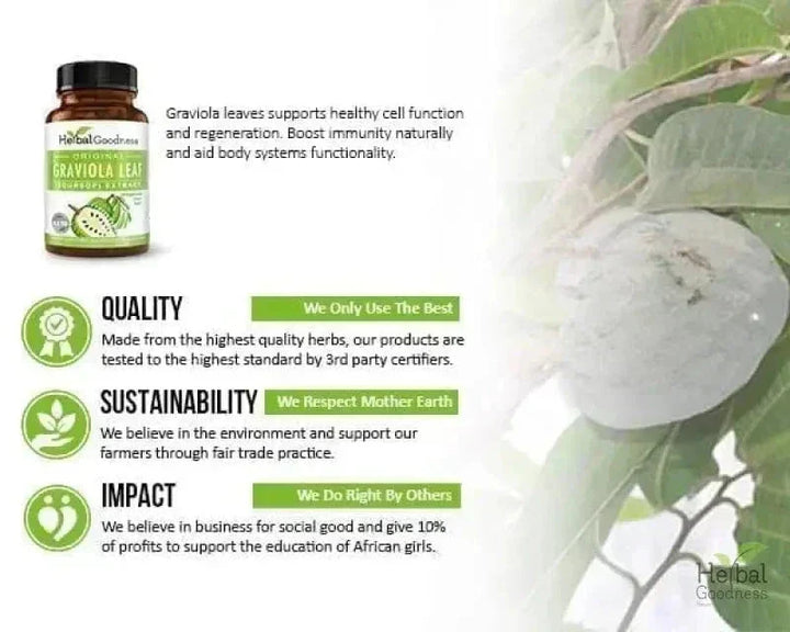 Graviola Soursop Leaf Extract Capsules – 10X Strength, 60/600mg, Vegan-Friendly, Unit or 12-Count Case Capsules Herbal Goodness 