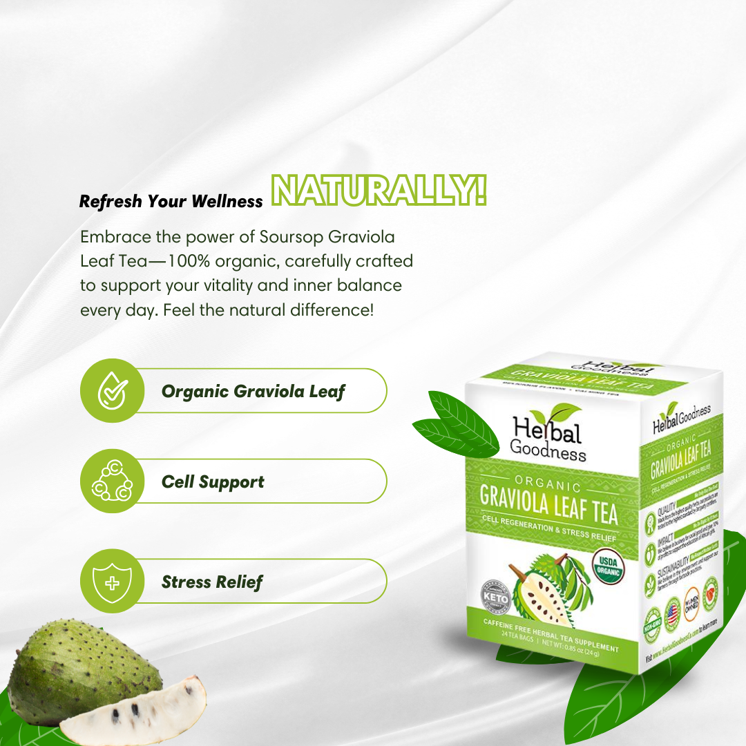 Graviola Leaf Tea - Organic 24/2g - Cell Immunity - Herbal Goodness Buy Tea & Infusions