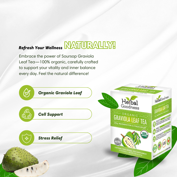 Graviola Leaf Tea - Organic 24/2g - Cell Immunity - Herbal Goodness Buy Tea & Infusions