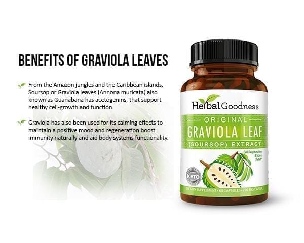 Graviola (Soursop) Leaf Extract - Capsules 60/700mg - Healthy Cell Function, Immunity & Relaxation - Herbal Goodness Capsules Herbal Goodness 