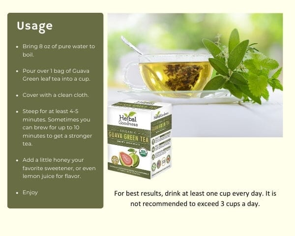 Guava Green Tea - 24/2g - Organic - Immunity & Brain Health - Herbal Goodness - Herbal Goodness