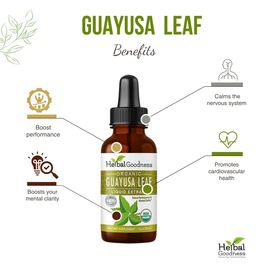 Guayusa Leaf Extract - Organic - Liquid - Energy, Focus & Alertness - Herbal Goodness Liquid Extract Herbal Goodness 