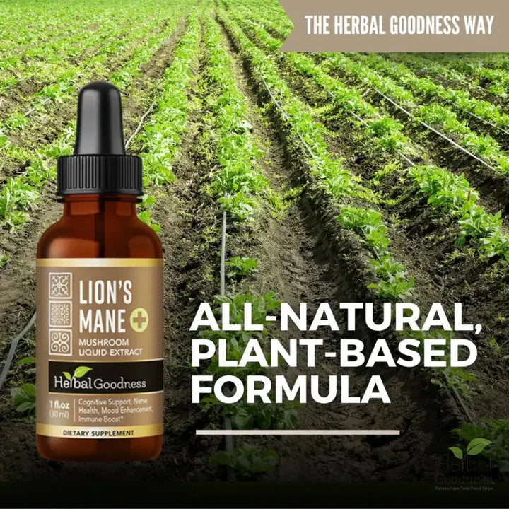 Lion's Mane Mushroom Liquid Extract Herbal Goodness 