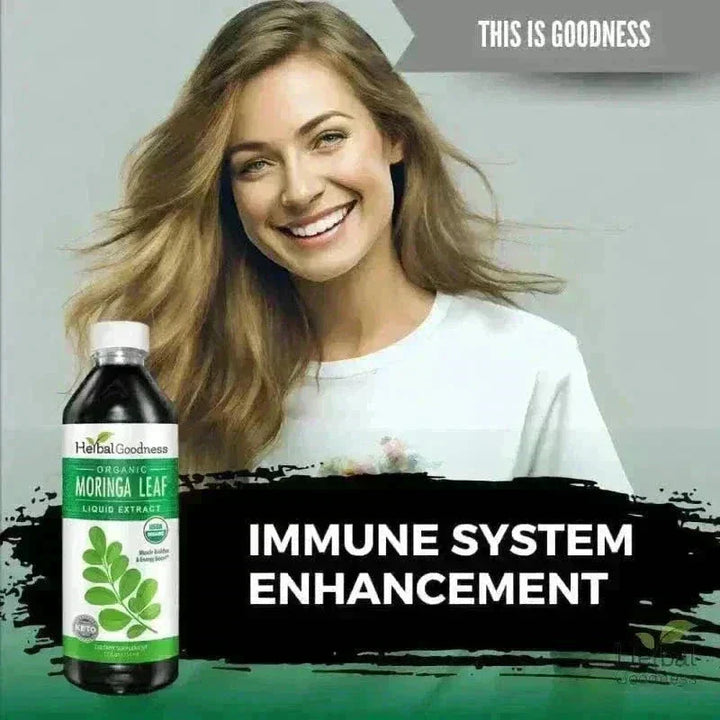Moringa Leaf Extract - Organic 1oz 15X Liquid Extract - Immunity & Wellbeing Liquid Extract Herbal Goodness 