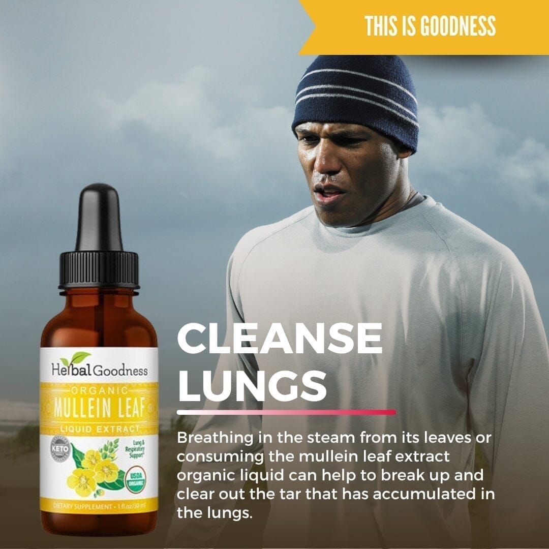 Mullein Leaf Extract Liquid - Organic - 15X Strength Liquid Extract Herbal Goodness 