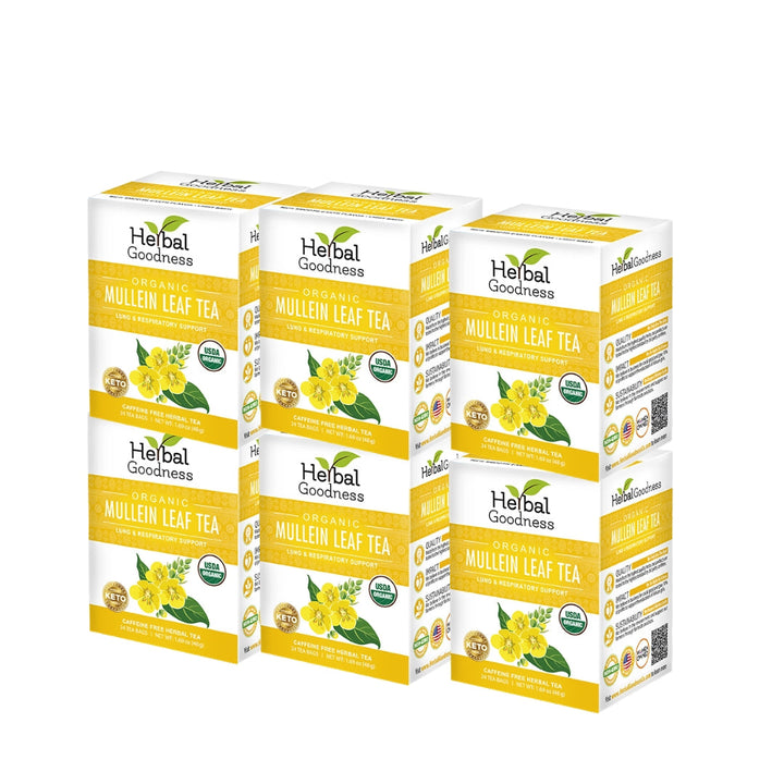 Mullein Leaf Tea - Organic 24/2g - Herbal Goodness Buy Tea & Infusions